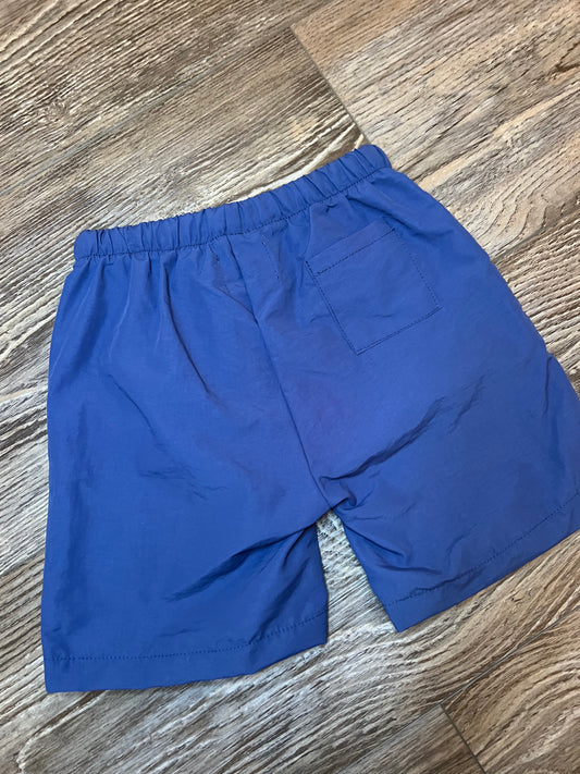 Phoenix Shorts - Navy Blue