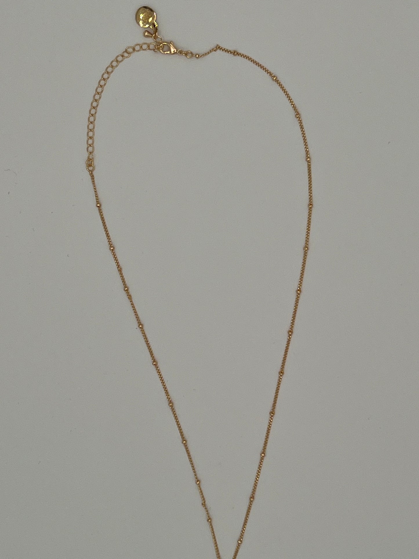 Dainty Chain with Accents