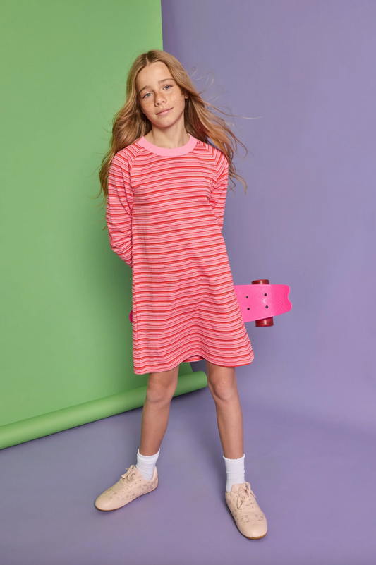 Cambridge Stripe Shirt Dress