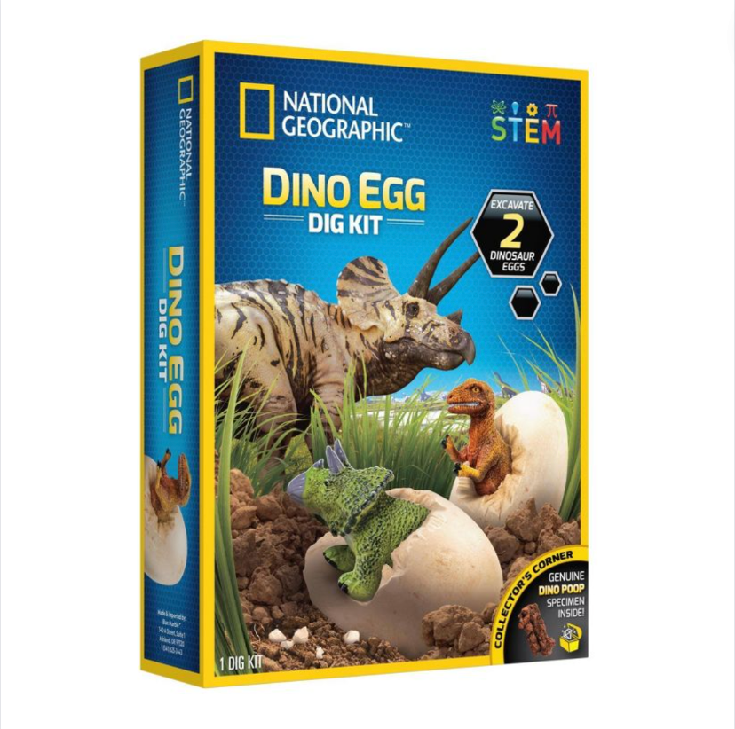 Dino Egg Dig Kit