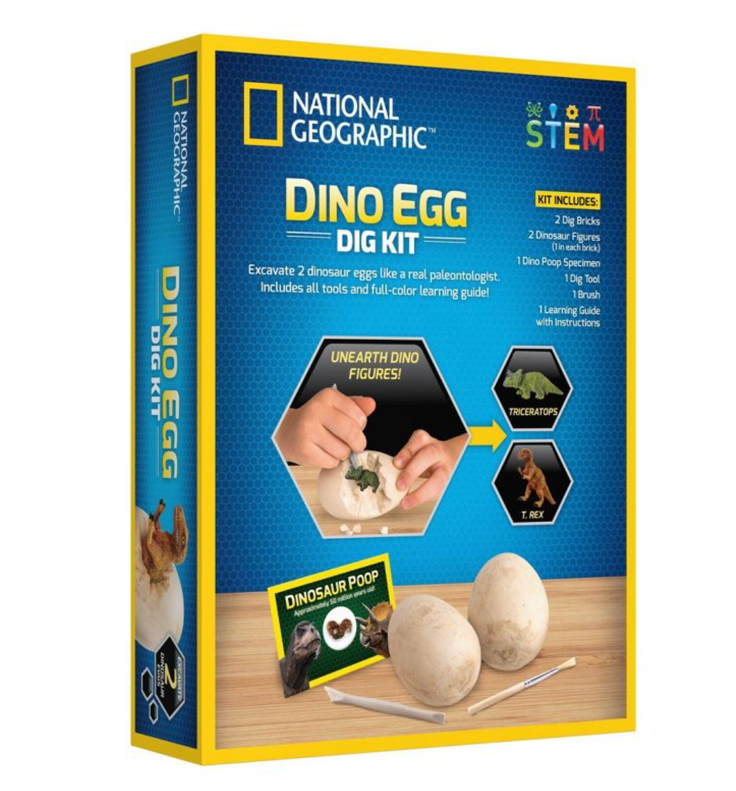 Dino Egg Dig Kit