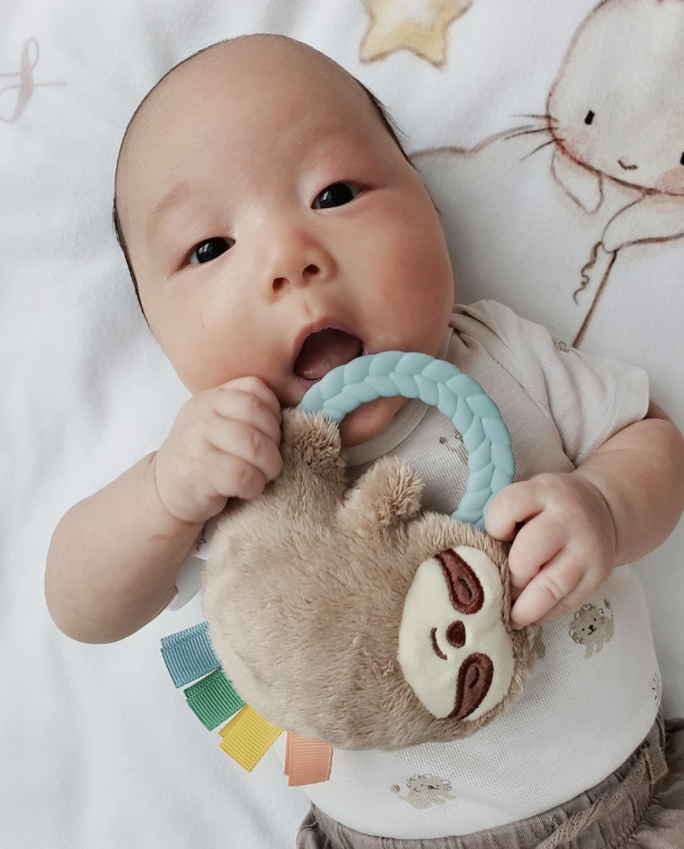 Ritzy Rattle Pal - Koala