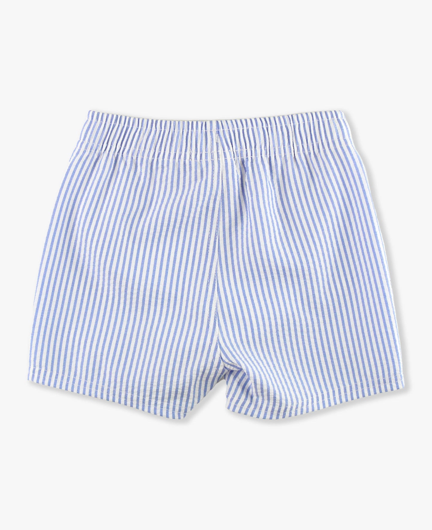 Seersucker Swim Trunks