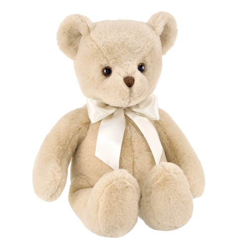 Christopher the Teddy Bear