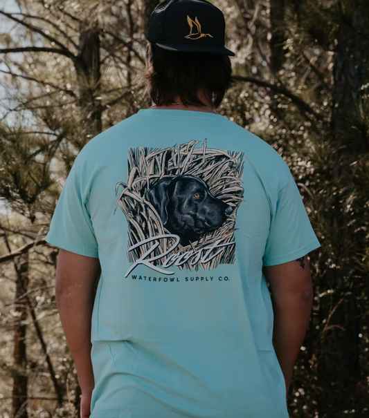 Stealth Mode T-Shirt