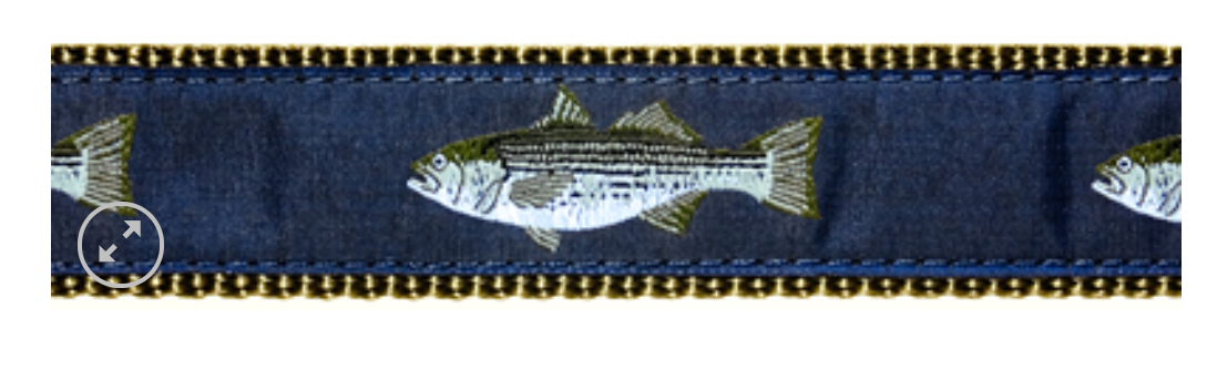 Striped Bass Belt