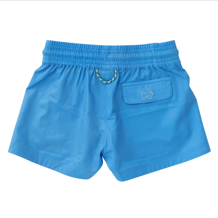 Beach Cruiser Shorts - Blue